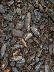 Landscape design. Texture. Background natural from wood recycled mulch. Close-up of wood chips from bark of tree covering ground, mulching and enriching  soil. Heap of Dry Pine Tree Bark Pieces.