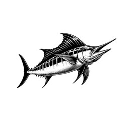 Blue Marlin hand drawn vector illustration graphic asset 