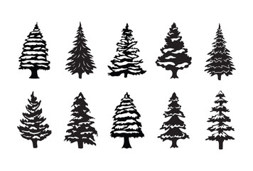 Winter Tree Illustration Vector Set