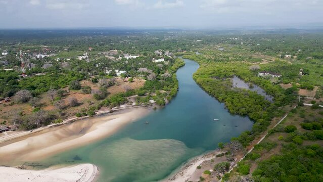 Aerial View of Green Mangrove Forest. Nature Landscape. Tropical Rainforest. Congo river diani beach, Kenya Africa.