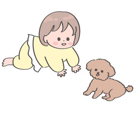 はいはいでトイプードルに近づく赤ちゃんのイラスト