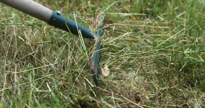 Super slow motion macro of gardener removes grass with rake after mowing lawn with string trimmer.