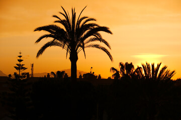 Denia - Costa Blanca