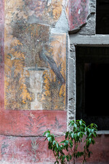 pavone @ villa di poppea - oplontis, torre annunziata