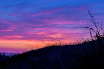 Fototapeta premium Captivating Vibrant Sunset Casting Beautiful Silhouettes Over Rolling Hills and Lush Grass