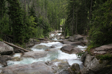Fototapeta premium Landscape photo of the part of Vodopady Studeneho potoka waterfall surrounded by a dense pine forest near Stary Smokovec in High Tatras, Slovakia 
