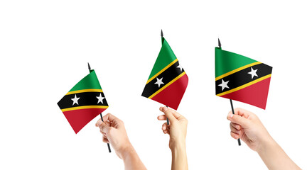 A group of people are holding small flags of Saint Kitts and Nevis in their hands.