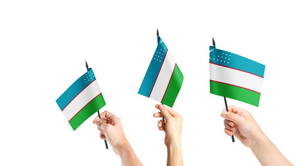 A group of people are holding small flags of Uzbekistan in their hands.