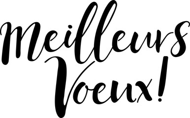Text in French: Best wishes. Christmas lettering. Ink illustration. Modern brush calligraphy 
