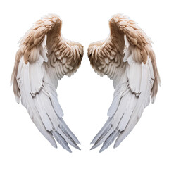 angel wings isolated on transparent background