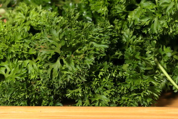 Parsley texture. Green Parsley leaf background. closeup of Parsley leaves. 
