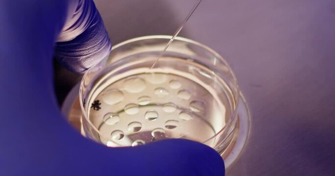 Embryologist conducting artificial fertilization of a human egg in a laboratory setting. Laboratory scene depicting precise IVF procedures. Close-up shot of IVF procedure.