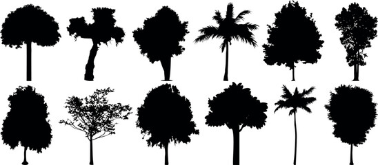 Fototapeta premium Tree silhouette vector set includes various tree types, palm, oak, and more. Perfect for nature designs, landscaping, and botanical illustrations