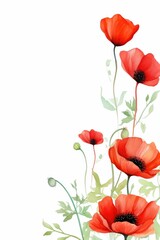poppy themed frame or border for photos and text.with vibrant red petals and black centers. watercolor illustration, Perfect for nursery art, simple clipart, single object, white color background. 