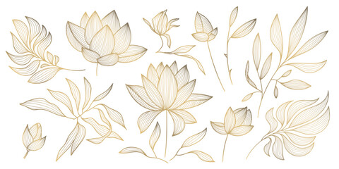Vector set of gold leaves isolated, plant branches, lotus line illustration, luxury foliage decoration. Vintage ornament elements, jungle, summer background