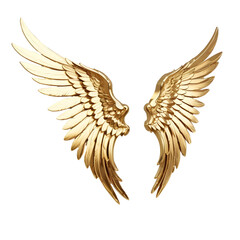 PNG golden eagle wings