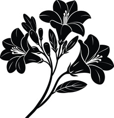  Freesia silhouette vector illustration