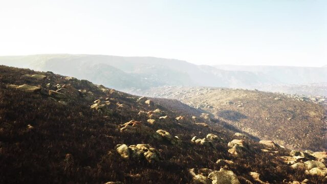 stunning shot of a foggy rocky landscape with partial grass coverage