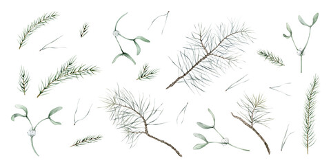 Watercolor Christmas set of pine and fir branches and traditional white mistletoe. Hand painted pine needles illustration on isolated background. Clipart New years white berry branch with green leaf.