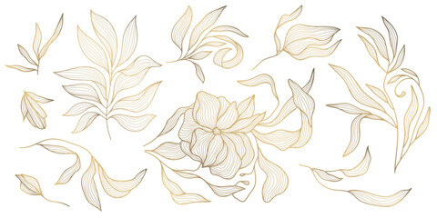 Vector set of gold leaves and flower isolated, plant branch line illustration, luxury foliage decoration. Vintage ornament elements, jungle, summer background