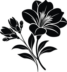  Freesia silhouette vector illustration