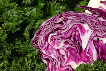 Obraz premium Half of red cabbage in green parsley leaf background