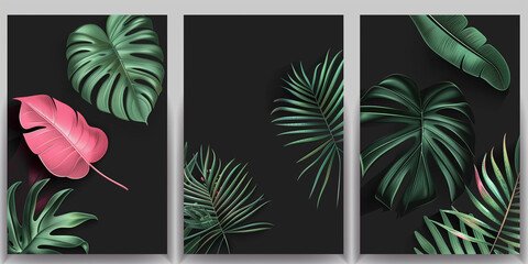 A triptych of large, vibrant tropical leaves against a dark backdrop, ideal for modern decor