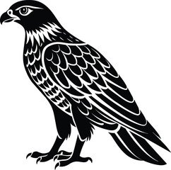 Hawk silhouette vector illustration design
