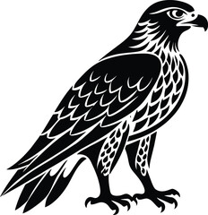 Hawk silhouette vector illustration design
