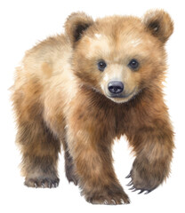 Obraz premium PNG Bear wildlife mammal animal. AI generated Image by rawpixel.