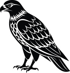Hawk silhouette vector illustration design
