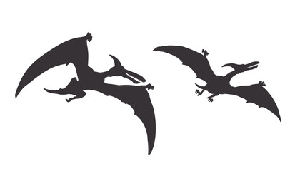 Pterodactyl isolated silhouette. Dinosaur drawing. Black image of jurassic animals. Prehistoric flying reptile. Gigantic monster icon © shaineast