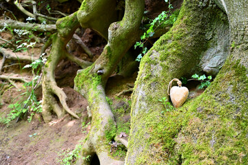 Liebe zur Natur