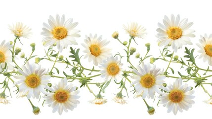 Delicate daisy garland with whimsical design, perfect for adding a touch of charm to wedding decor.