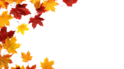 Vibrant autumn leaves in red, yellow, and orange hues forming a border  isolated on transparent background, perfect for seasonal themes and projects.