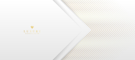 White background with golden lines. luxury premium background