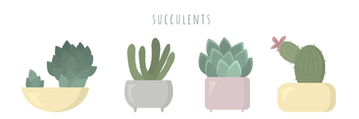 Collection of succulents isolated on white background