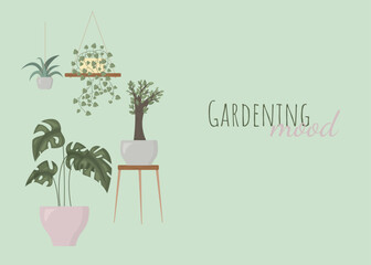Gardening mood postcard. Decorative indoor exotic flowers with stems and leaves in pots. 
