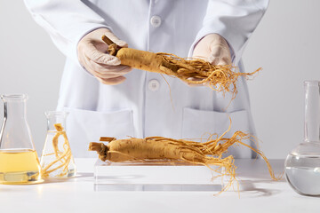 Template for design with front view, a ginseng root is raised in the middle of the frame by...