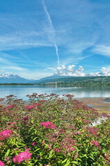  lago di viverone in italia, viverone lake in italy