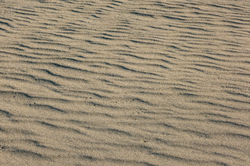 砂が風に吹かれて現れる風紋