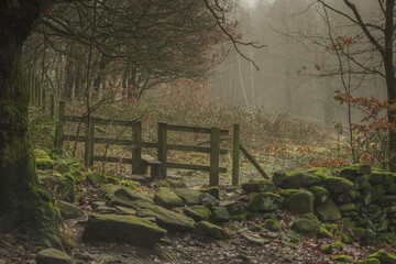 An old wooden stile provides an entrance from woodland to a footpath through a meadow bathed in...
