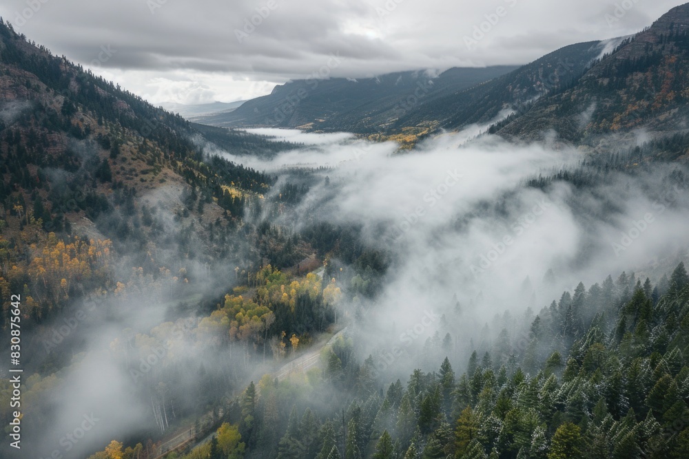 Poster a serene view of a valley in the midst of a forest. suitable for nature or landscape themes