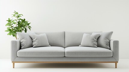 Modern Minimalist Living Room with Grey Sofa and Indoor Plant