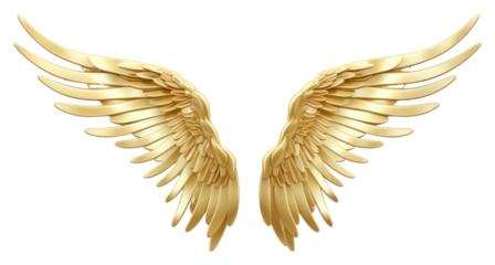 PNG Wings gold jewelry white background.