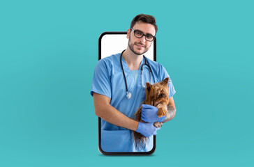 A veterinarian wearing blue scrubs and gloves is holding a Yorkshire Terrier while appearing to...