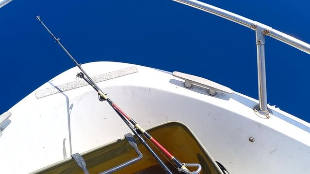 Delfini in coppia nuotano e fanno evoluzioni sotto e davanti la barca