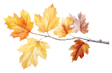 Fototapeta premium PNG Maple plant tree chandelier.