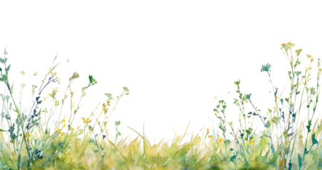 PNG  Meadow border grassland outdoors nature.