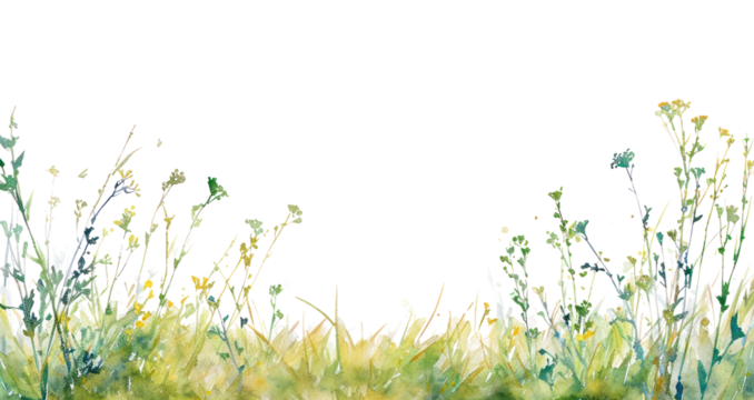 PNG  Meadow border grassland outdoors nature.
